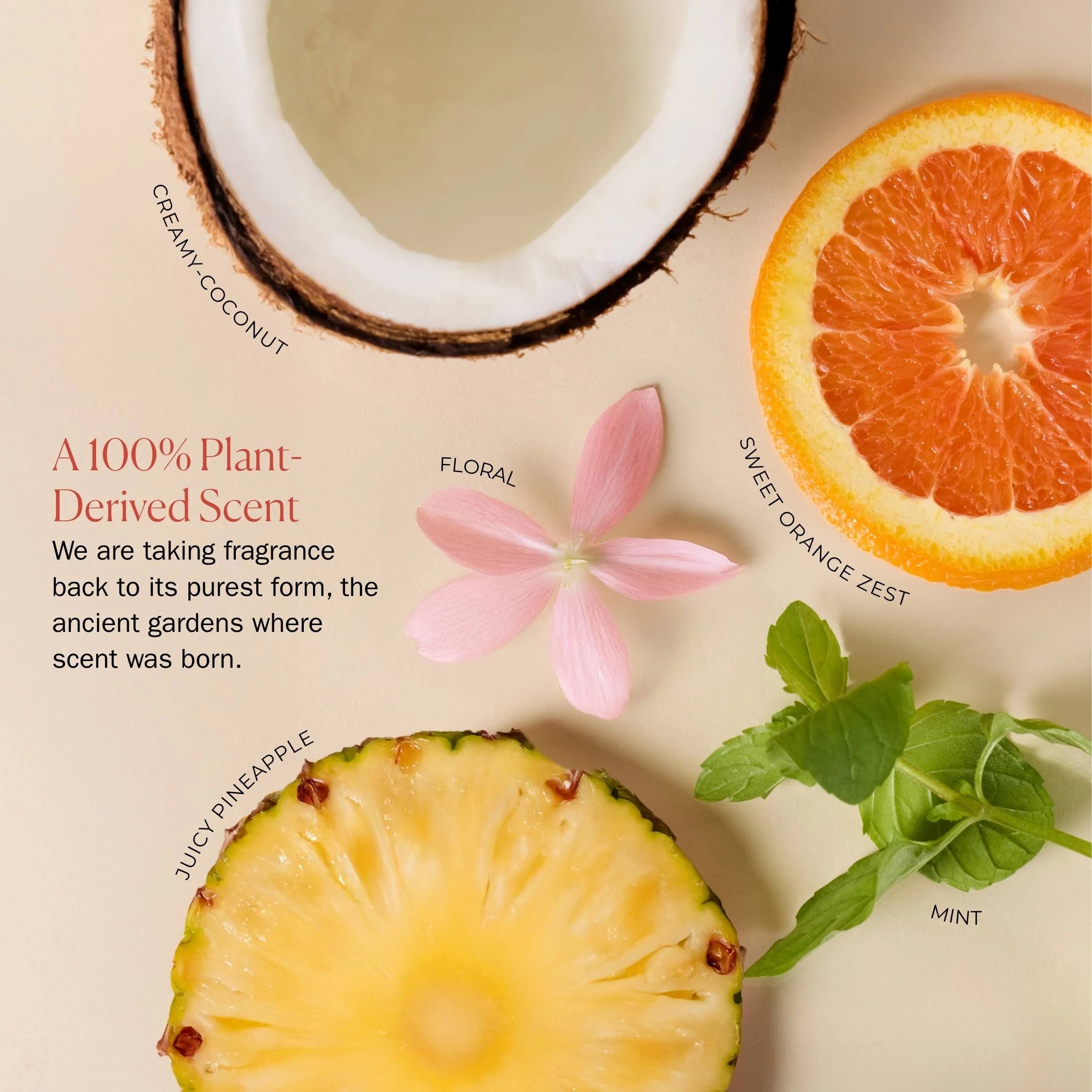 Bounce Curl Weightless Shampoo - 296ml